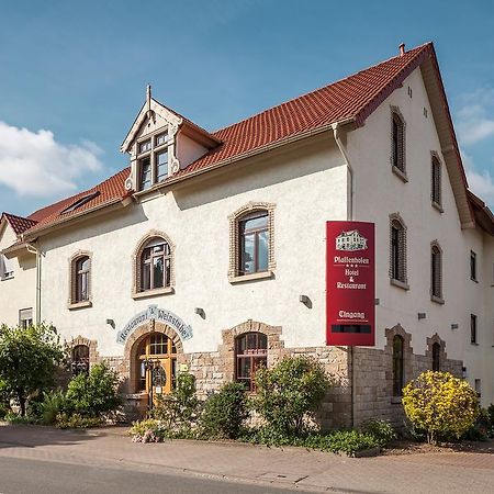 Hotel Pfaffenhofen Schwabenheim an der Selz Εξωτερικό φωτογραφία